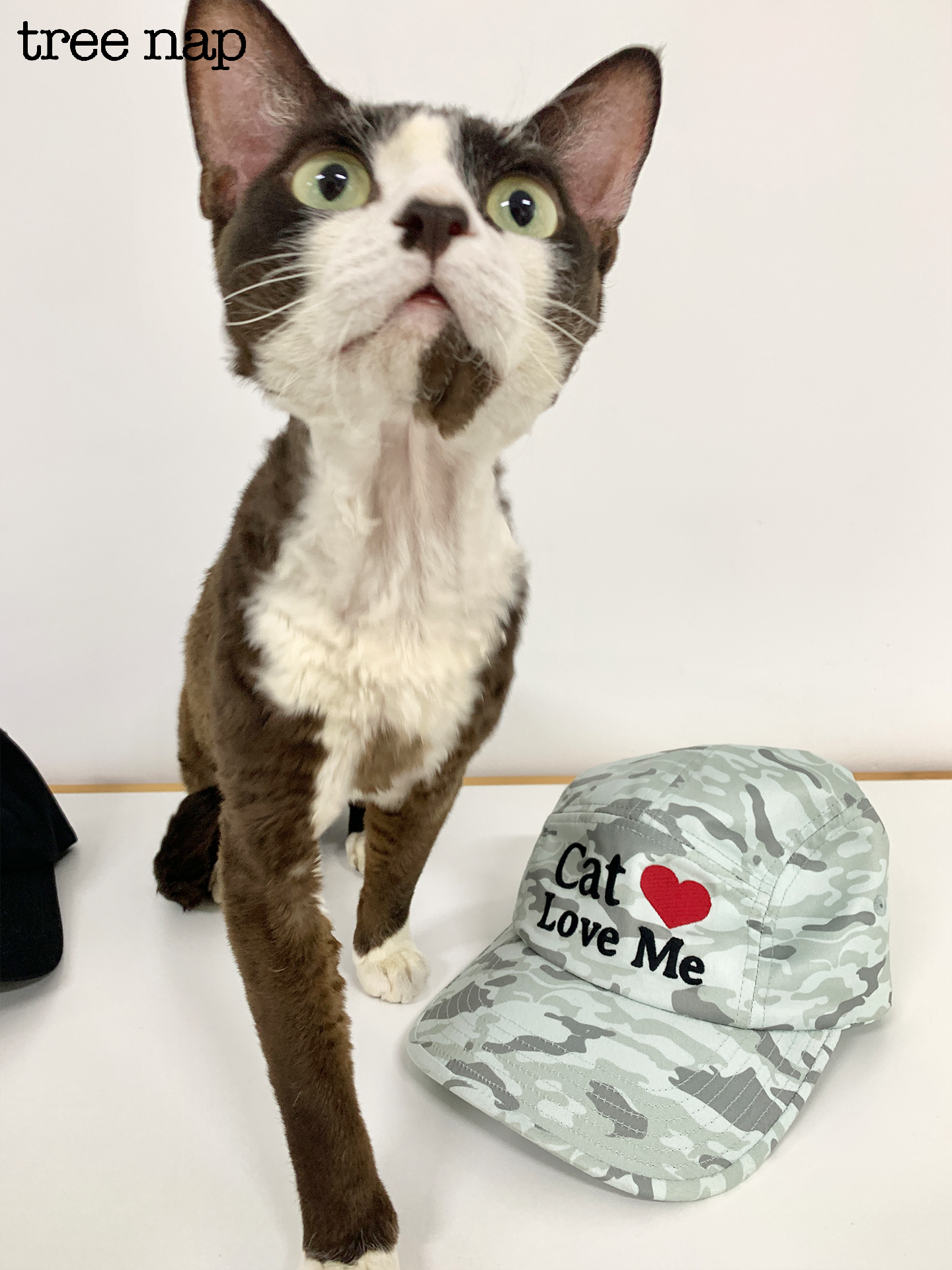 CAT LOVE ME CAMOUFLAGE CAP
