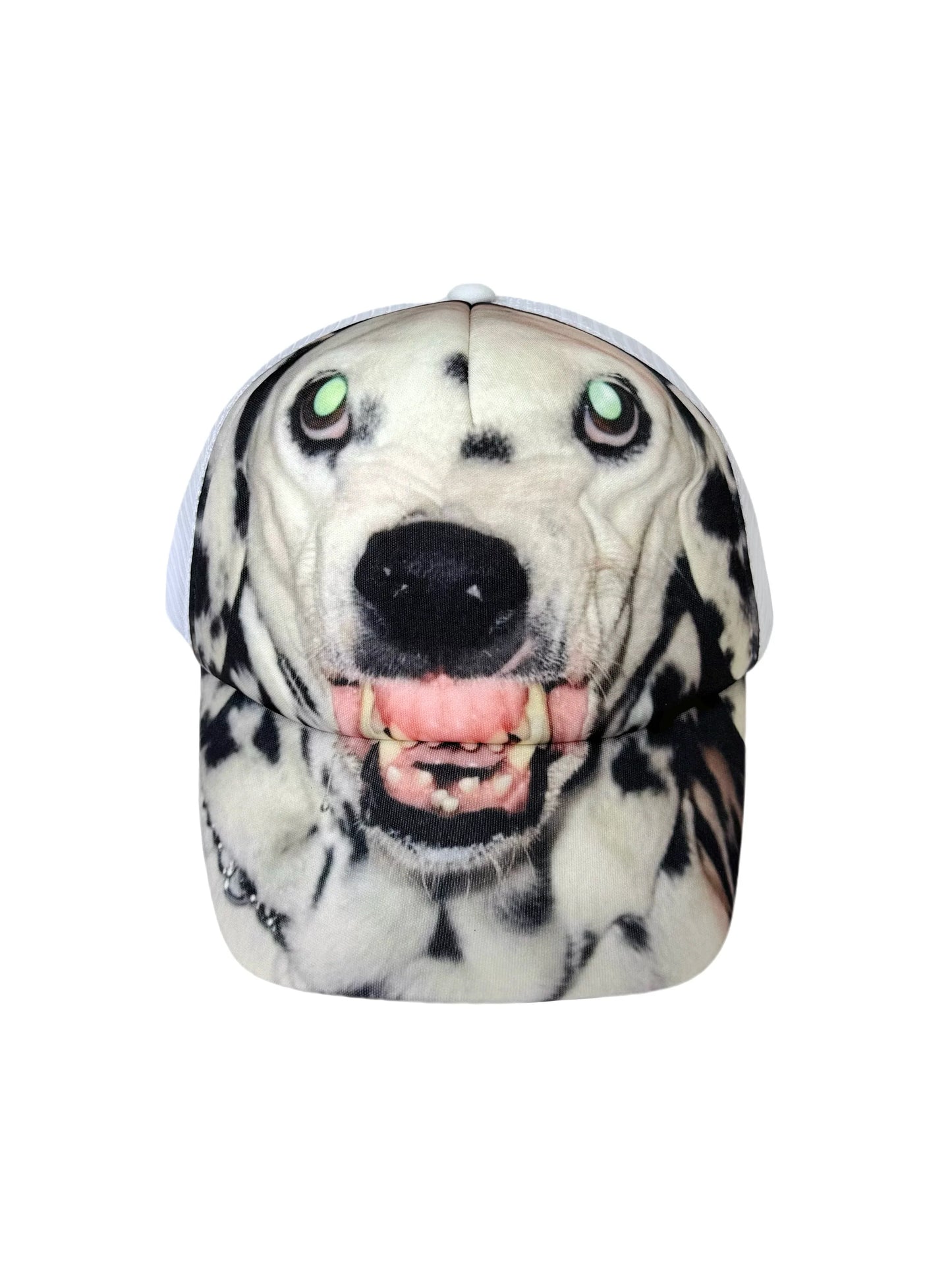 NICHE MESH CAP WITH DUCK DESIGN